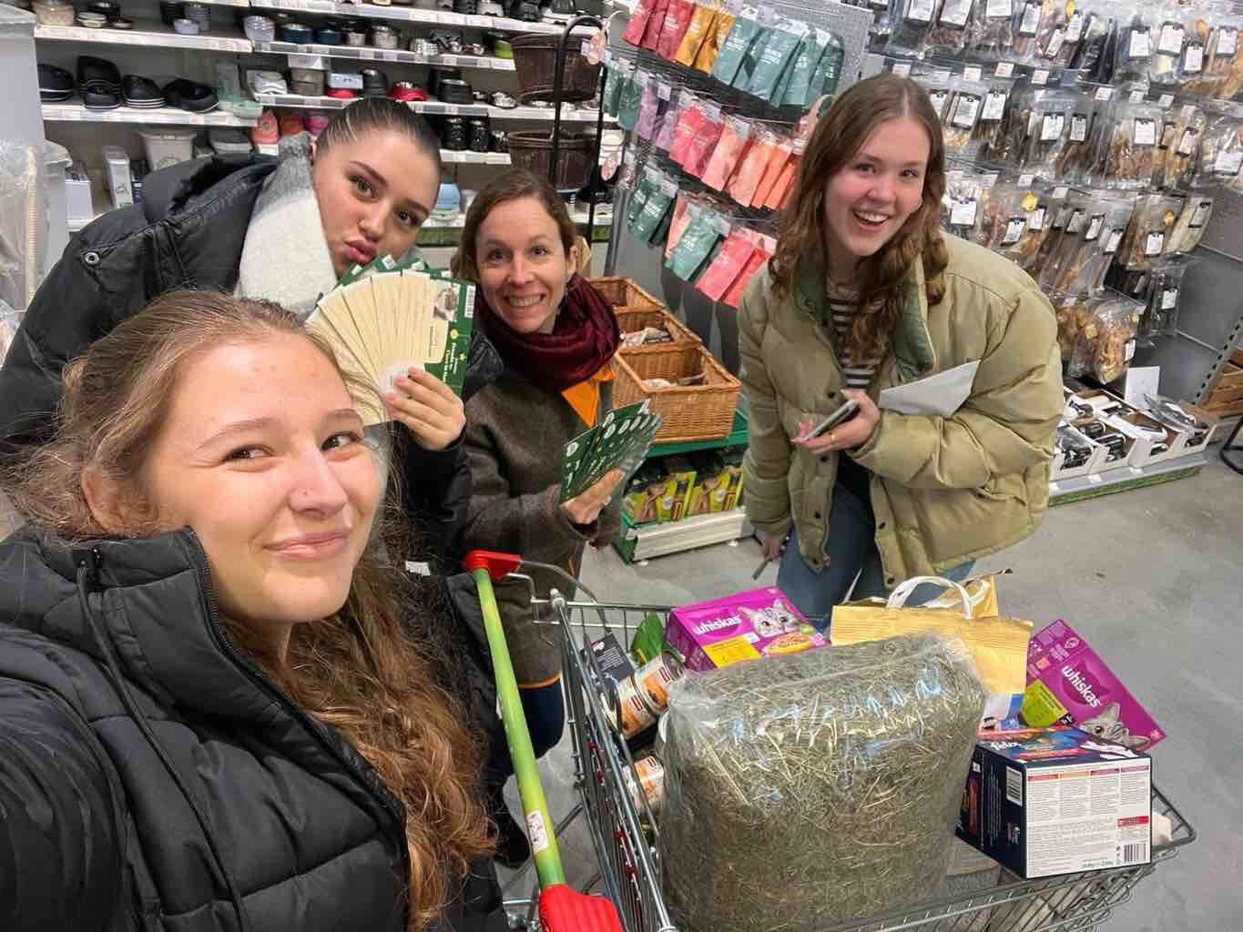 Vier Frauen machen ein Selfie in einem Geschäft, während sie mit einem Einkaufswagen voller Produkte einkaufen.